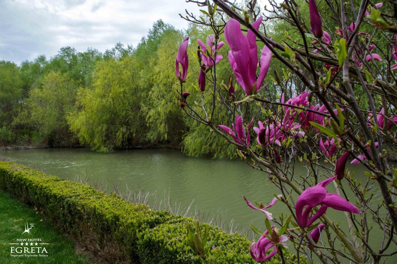 New Egreta Resort Dunavăţu de Jos エクステリア 写真